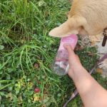 Portable Dog Water Bottle photo review