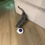 Smart Teaser Cat Turntable Toy – Get yours at 40% off! photo review