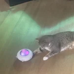 Smart Teaser Cat Turntable Toy – Get yours at 40% off! photo review