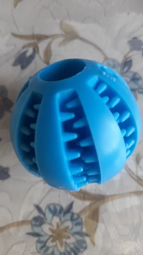 Interactive Bouncy Toy photo review