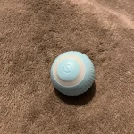 Rolling Smart Cat Ball Toy photo review