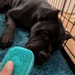 Pet Bath Massage Gloves Brush photo review