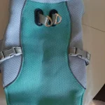 Dog Cooling Vest Harness photo review