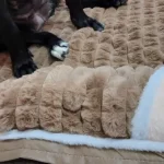 Winter Warm Dog Mat Sofa photo review