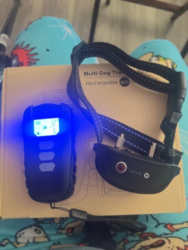 Electric dog training collar photo review