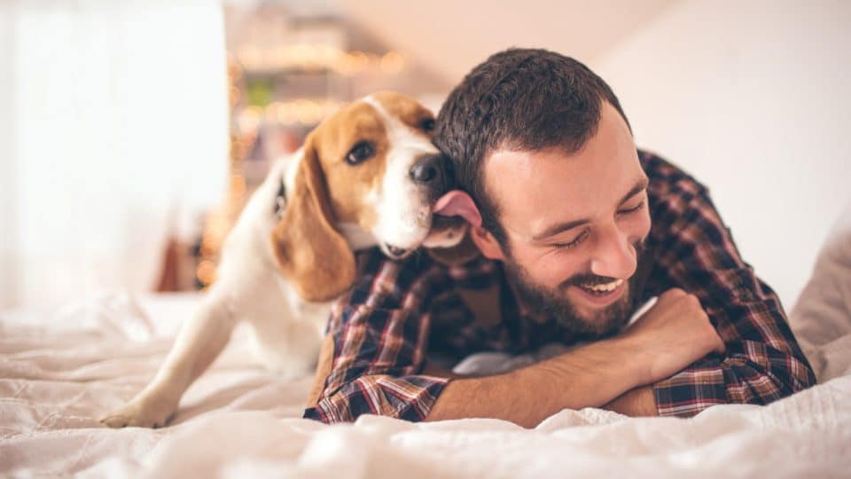 Why Do Dogs Like Licking Ears